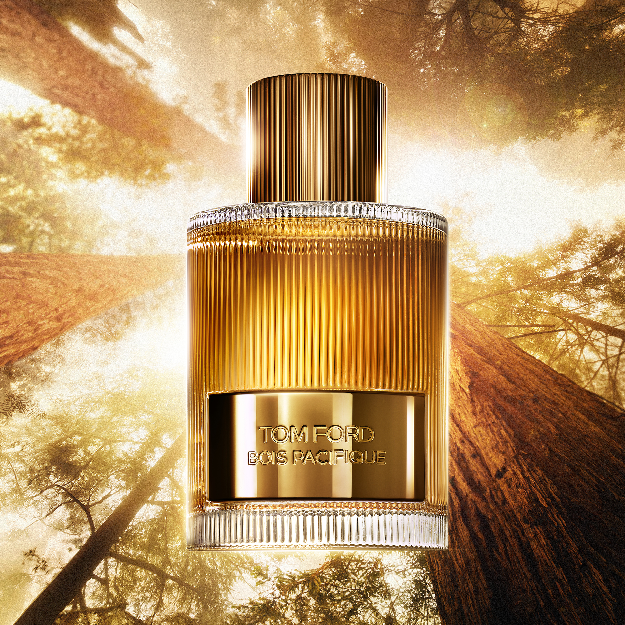 SIGNATURE BOIS PACIFIQUE EDP